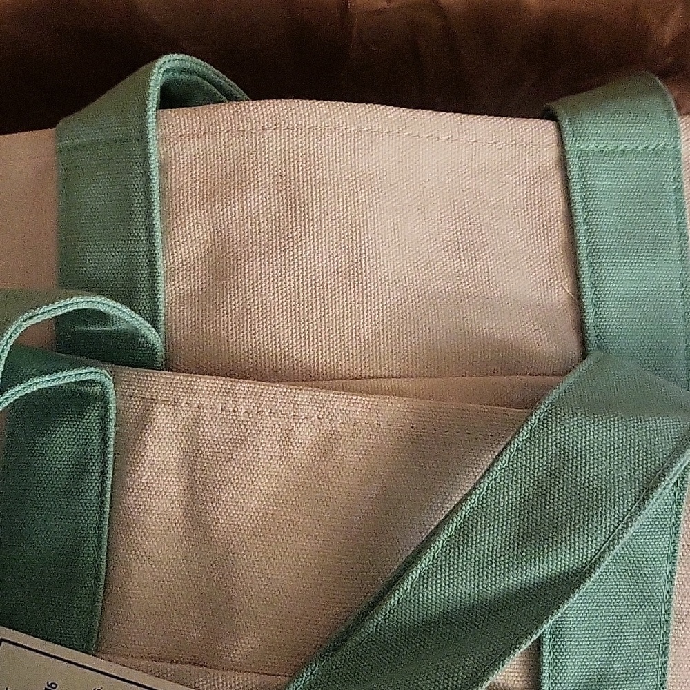 Trader Joe’s Mini Tote Bags - Pastel Green Set of Two - Picture 3 of 4